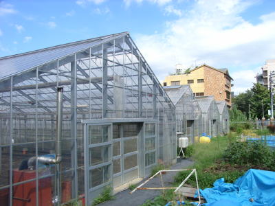 圃場の温室