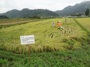 山下