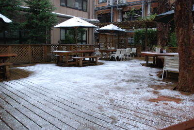 うっすらと雪化粧の3号館中庭