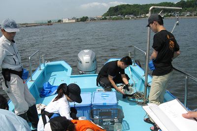 浜名湖の臨海実習(水圏生物科学専攻)