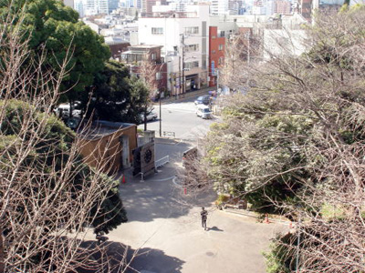 農学部正門の外の風景（現在）