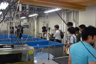 農学部の地下に海がある!