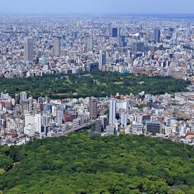 模擬授業1「街の中の多様な生き物と街を支える生態系」