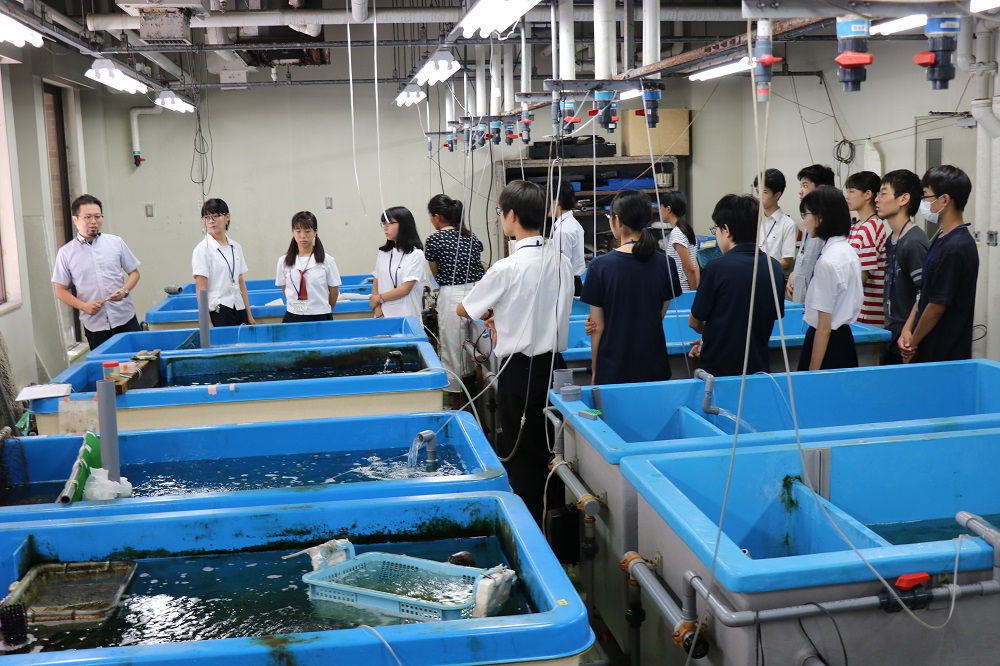 農学部の地下に海がある!