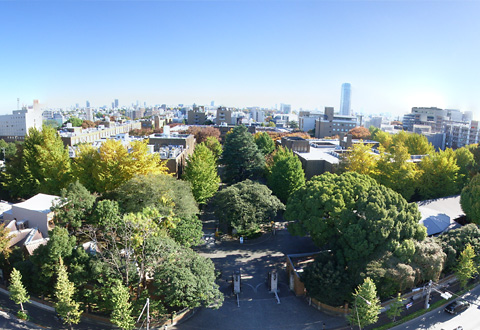 農学部キャンパス(弥生キャンパス)全景