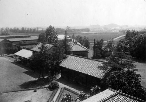 昭和の初めの農場展望