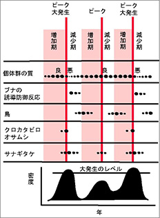 森の生き物の大発生