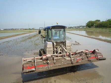 弥生51号