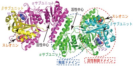 弥生53号