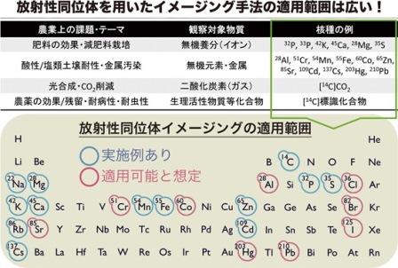 弥生59号