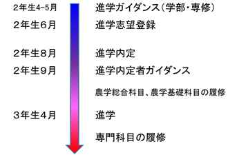 進学選択から農学部進学までの流れ