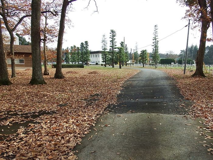 附属牧場