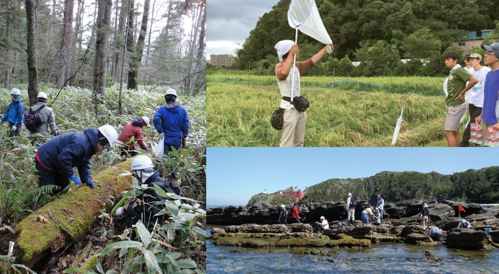 (左)倒木調査(北海道演習林)、(右上)アイガモ農法水田での昆虫調査(千葉県佐倉市)、(右下)磯観察(三浦半島荒井浜)