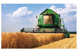 大型コンバインによる穀物収穫。収穫期が短いので一気に作業を行わねばならない。