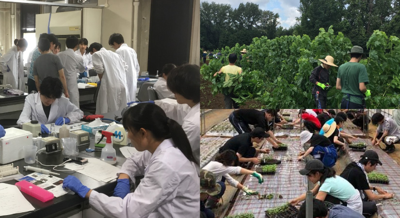 学生実験・実習の様子