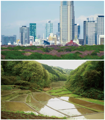 環境保全や防災など、多様な機能をもつ都市の緑(Photo: UNU)(上)多様な土地利用モザイクからなる里山ランドスケープ(下)