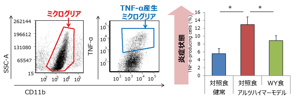 東京大学大学院農学生命科学研究科・農学部