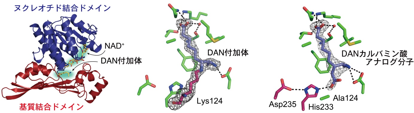 東京大学大学院農学生命科学研究科・農学部